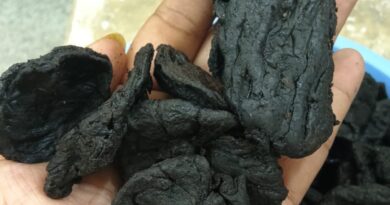 குடம் புளி பயன்கள்